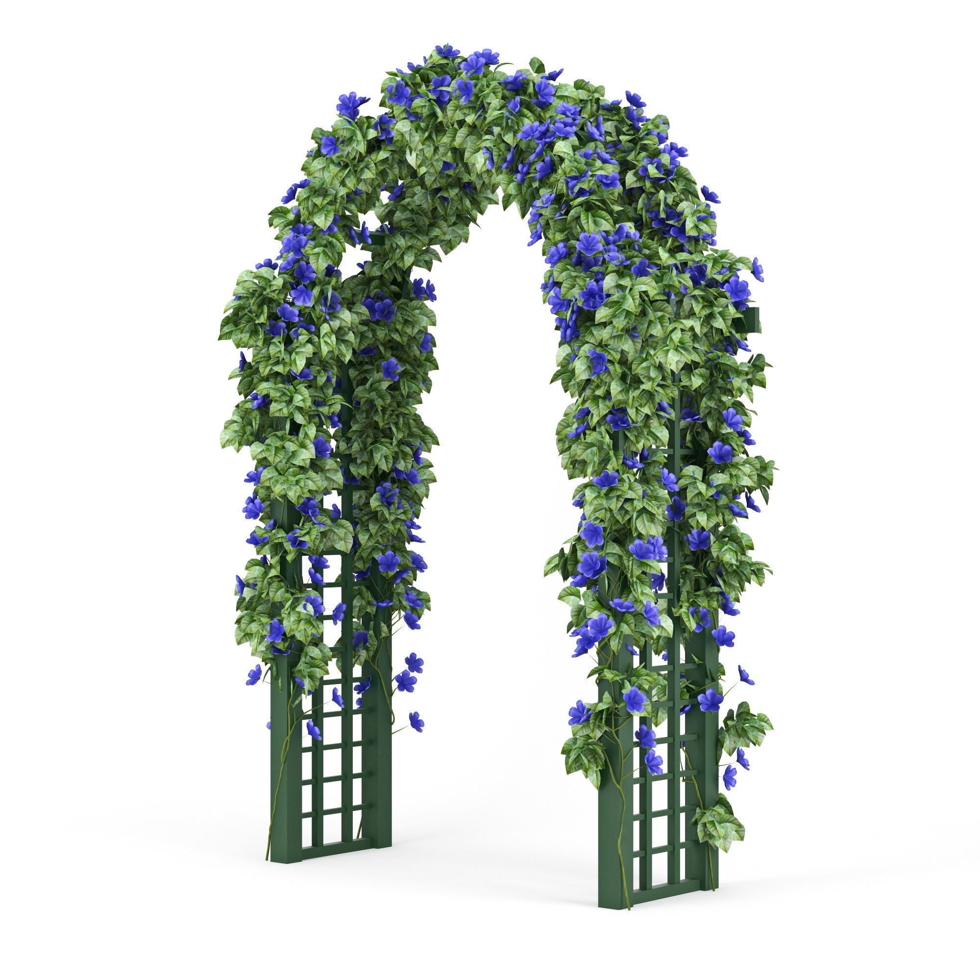 Convolvulus set ivy arch 3D model_5