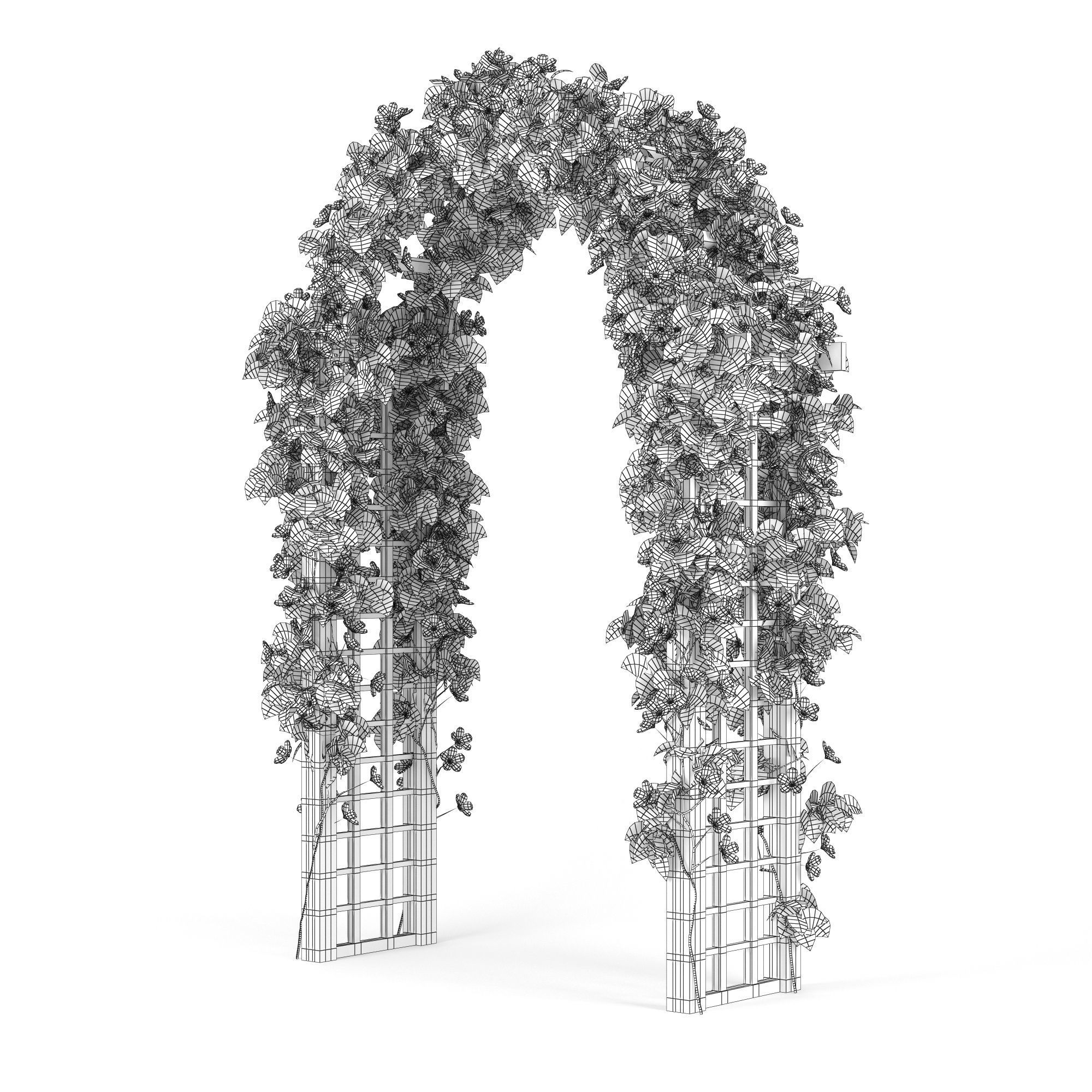 Convolvulus white arch 3D model_4