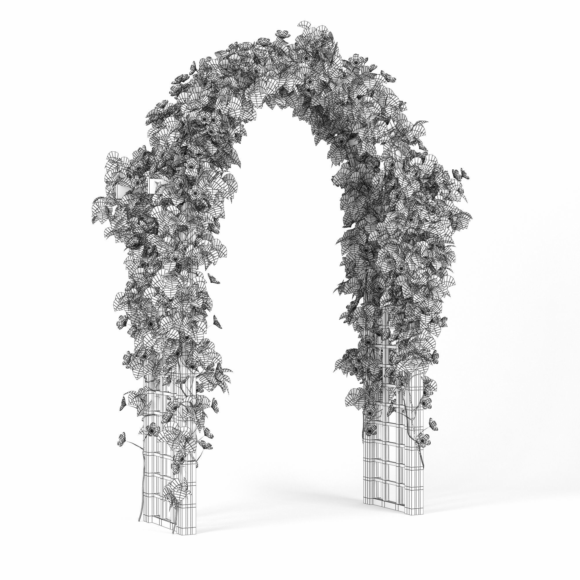 Convolvulus white arch 3D model_5