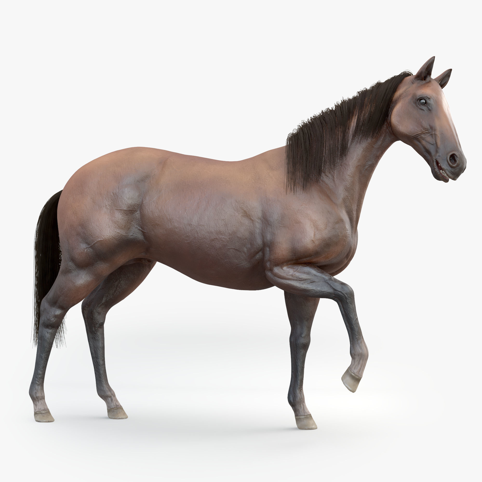 3D Horse RIGGED FUR Low-poly 3D model_16