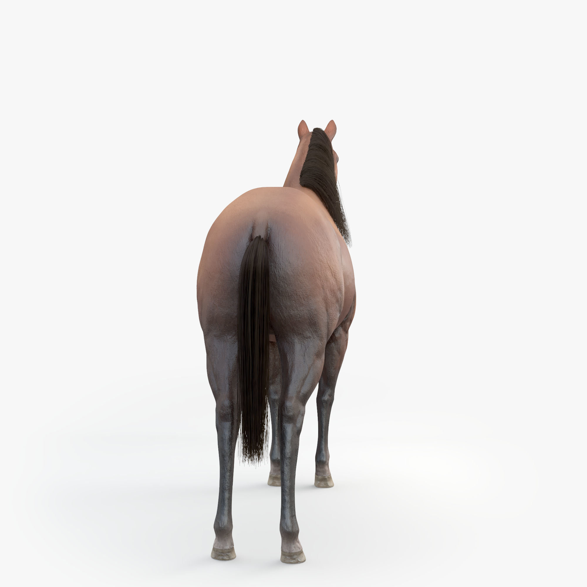 3D Horse RIGGED FUR Low-poly 3D model_2