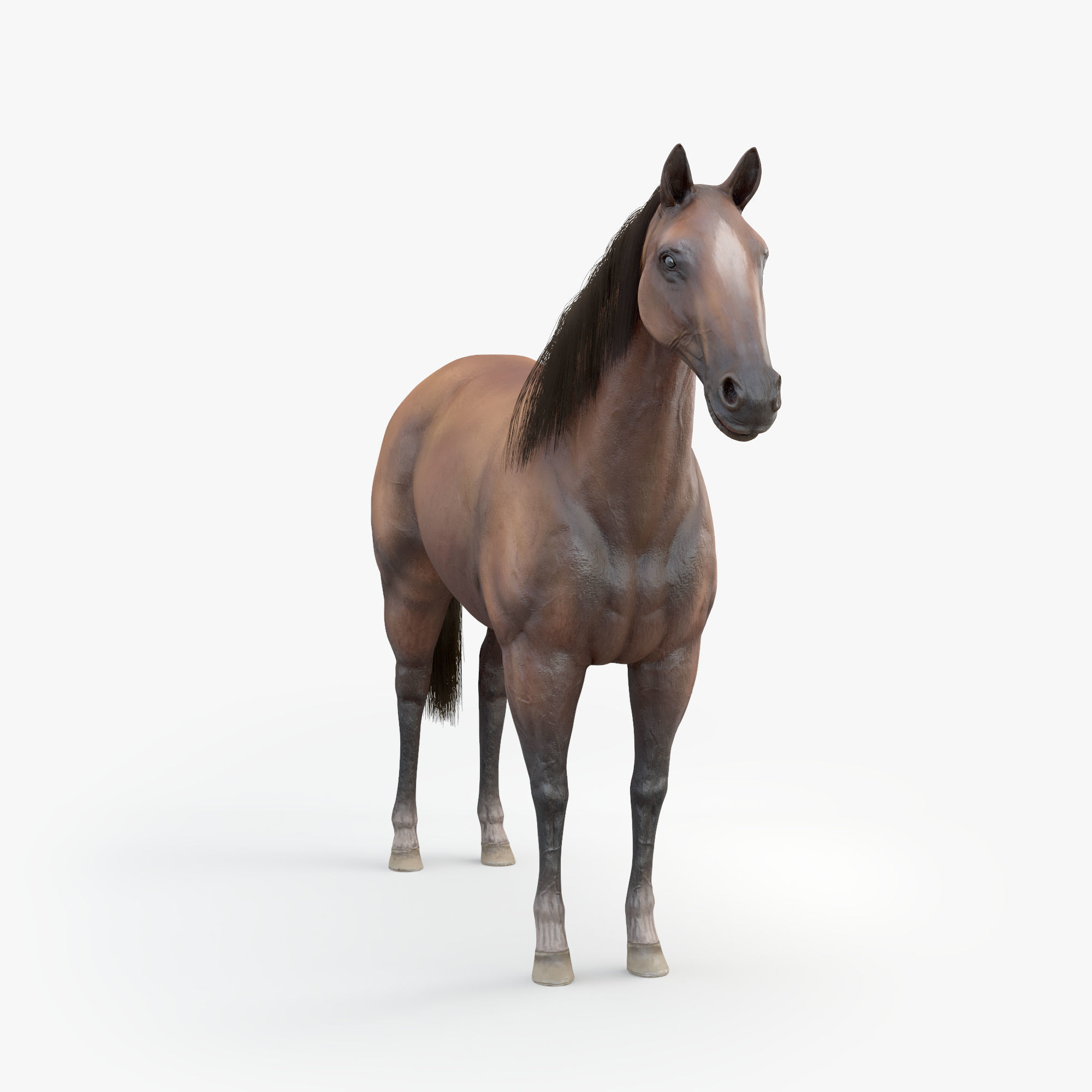 3D Horse RIGGED FUR Low-poly 3D model_8