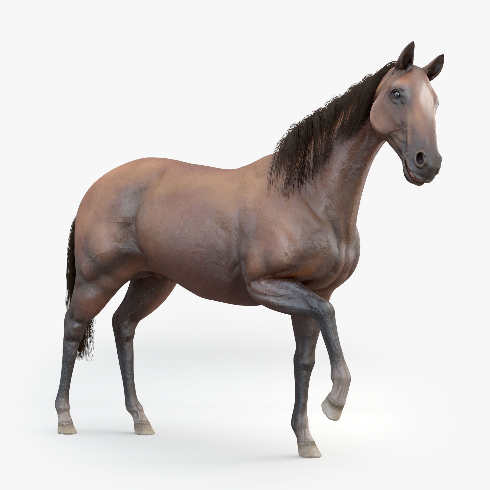 3D Horse RIGGED FUR Low-poly 3D model_13
