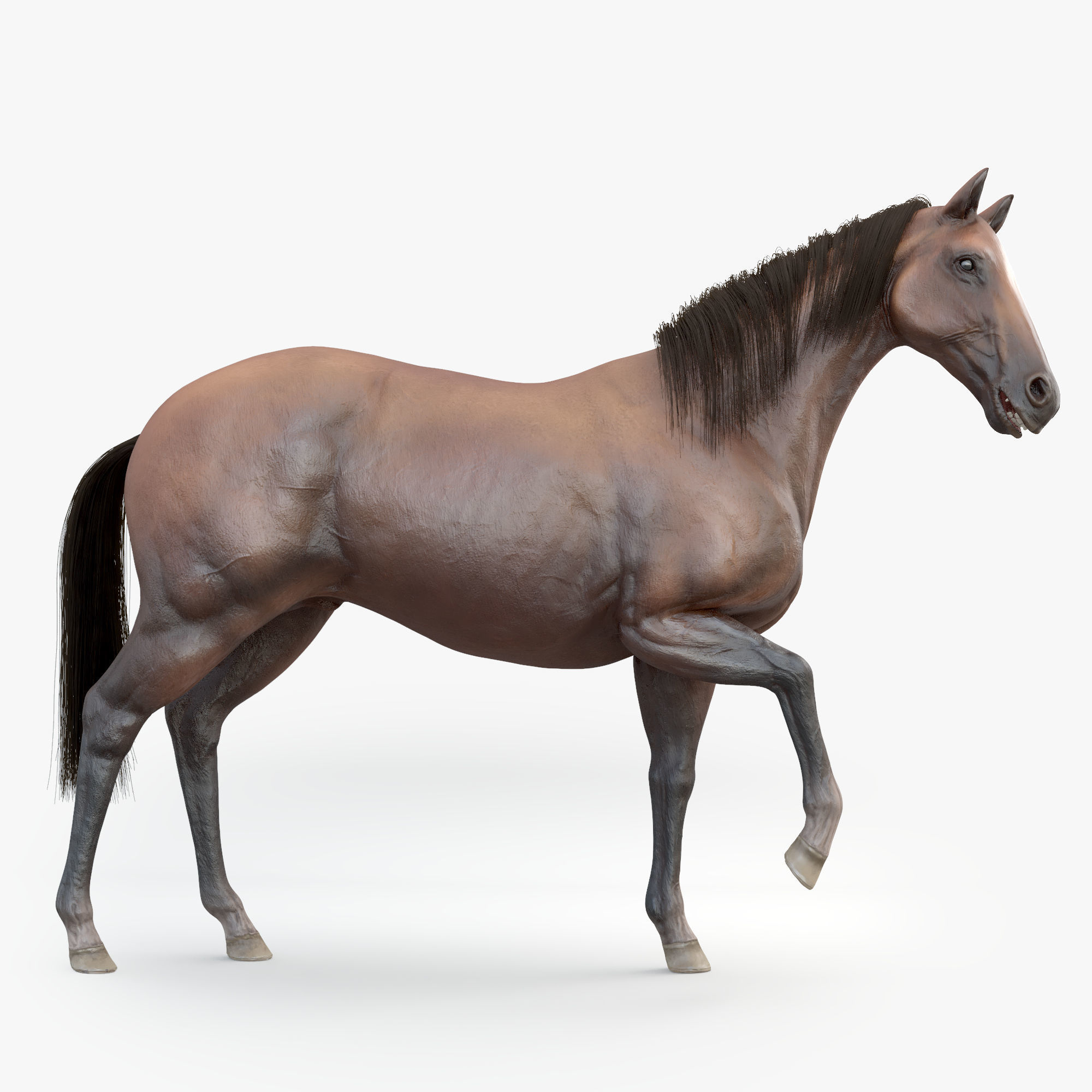 3D Horse RIGGED FUR Low-poly 3D model_14