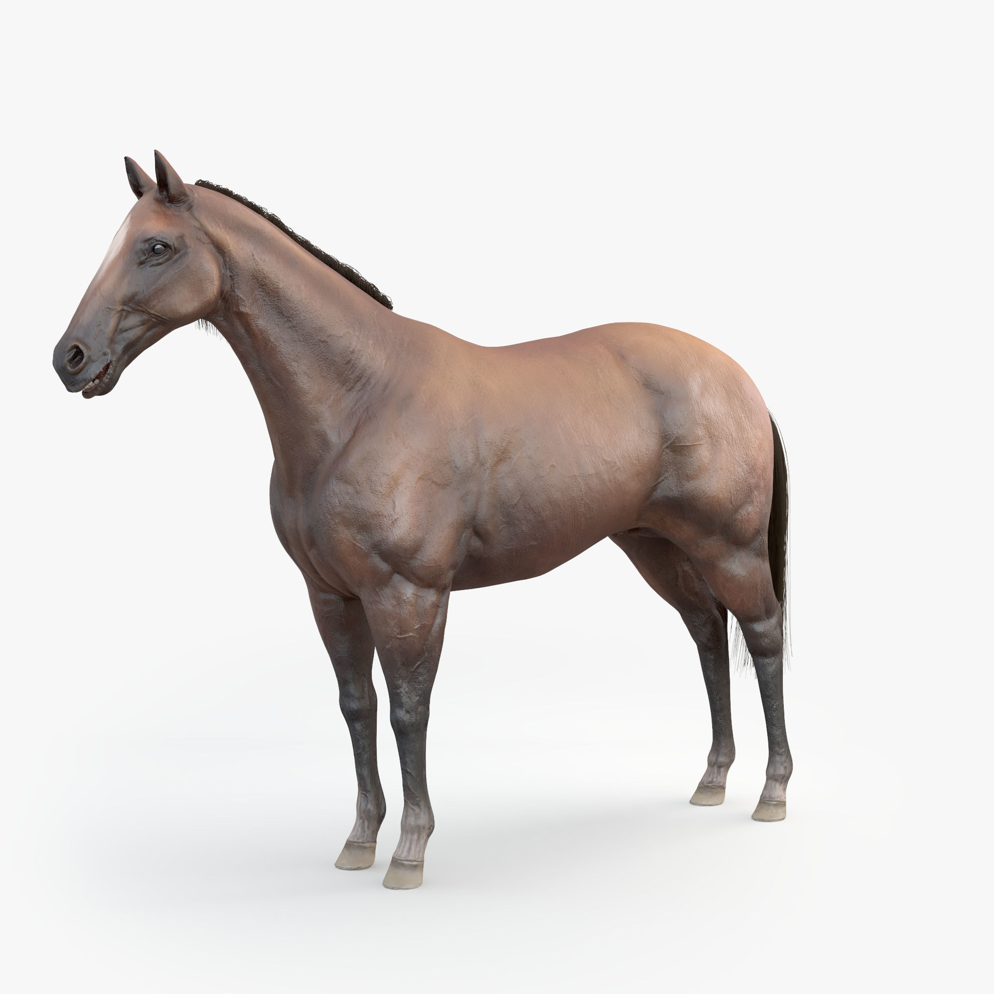 3D Horse RIGGED FUR Low-poly 3D model_6