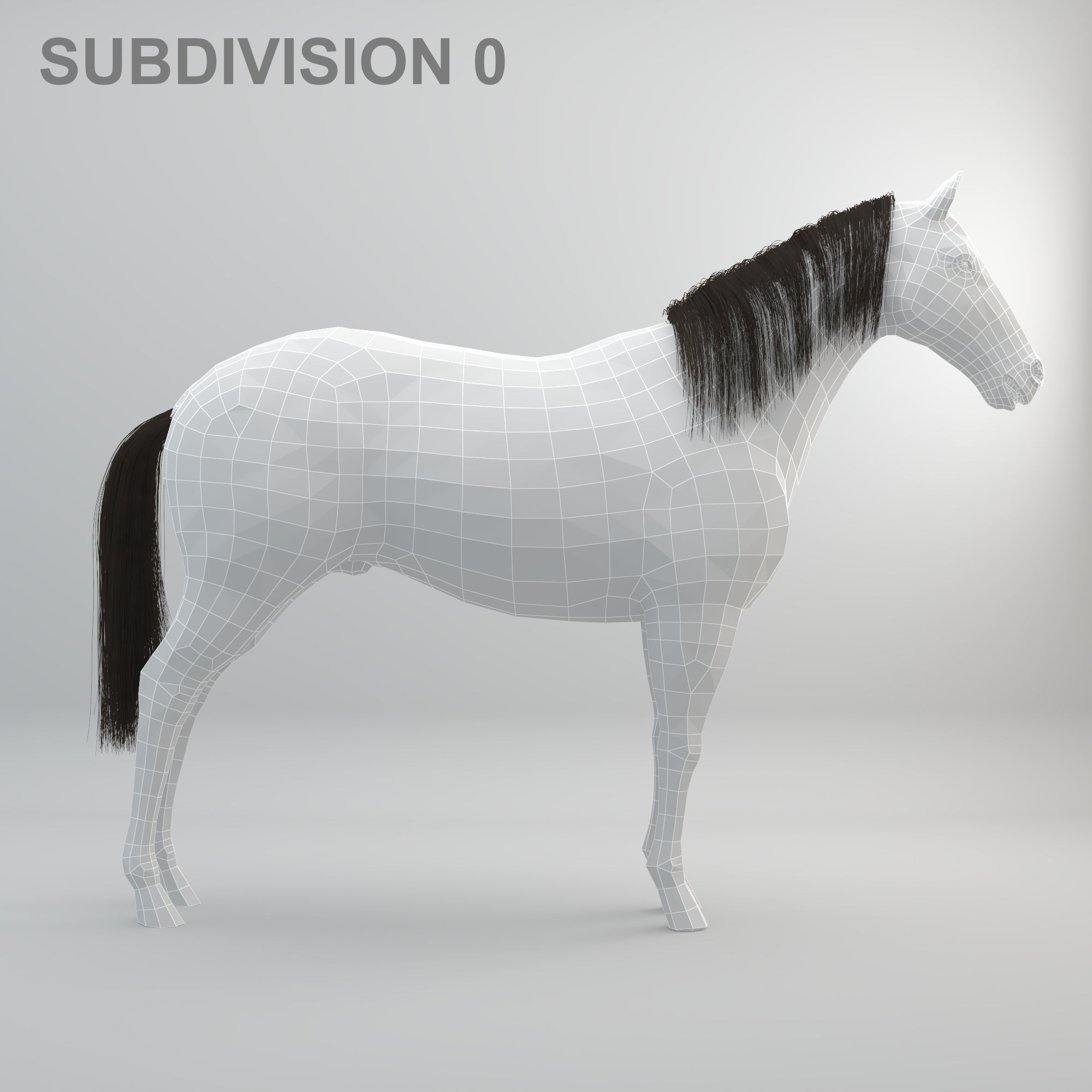 3D Horse RIGGED FUR Low-poly 3D model_19