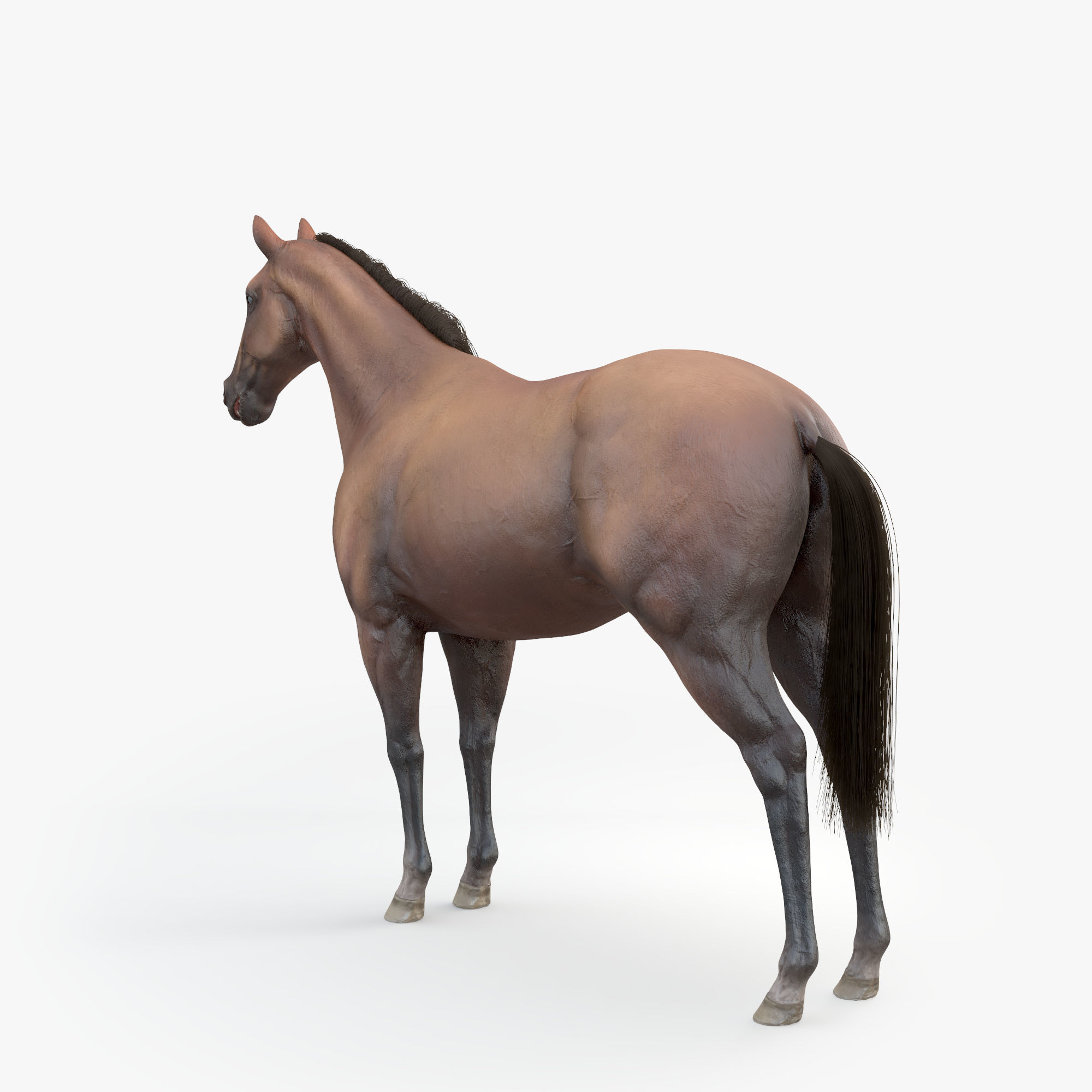 3D Horse RIGGED FUR Low-poly 3D model_5