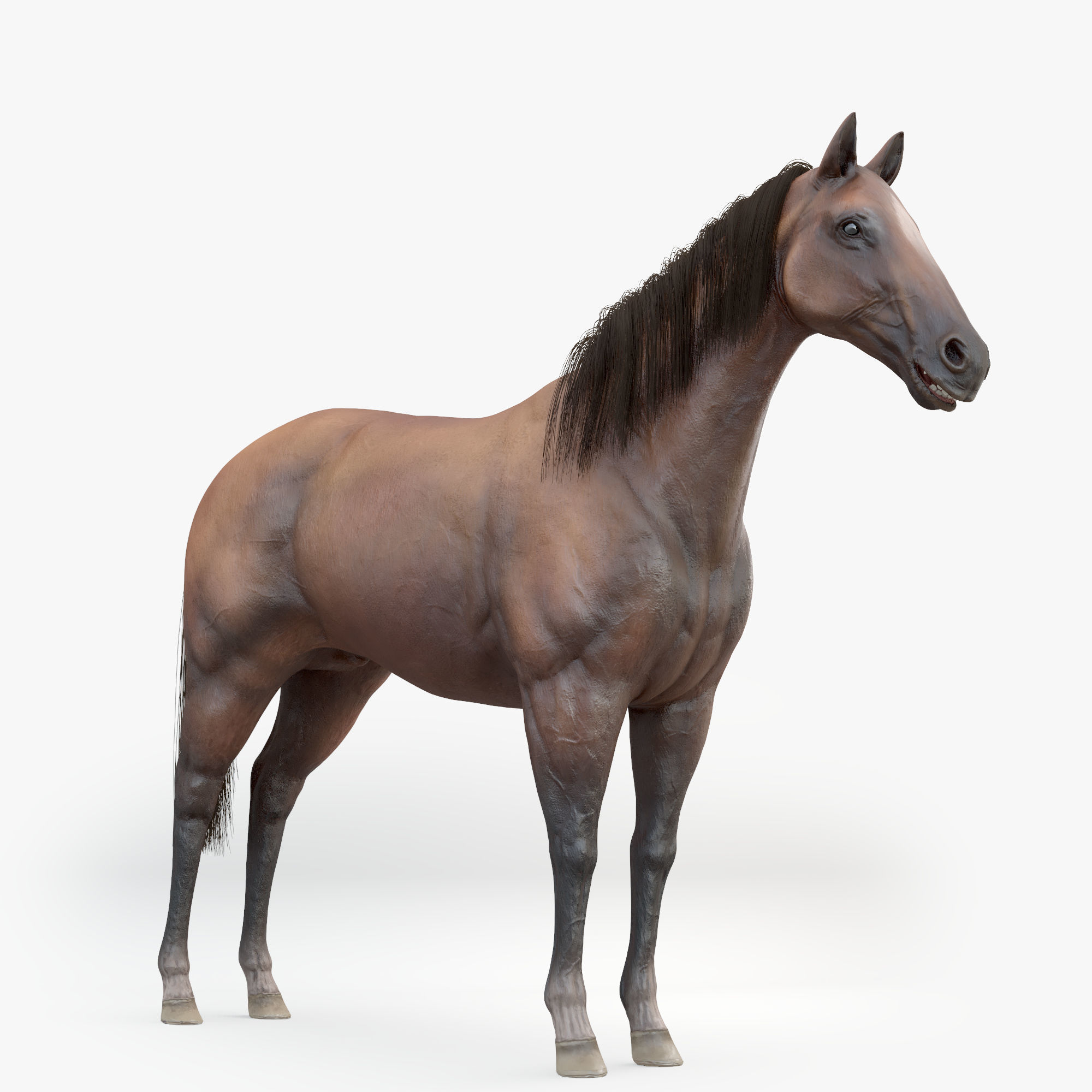 3D Horse RIGGED FUR Low-poly 3D model_10