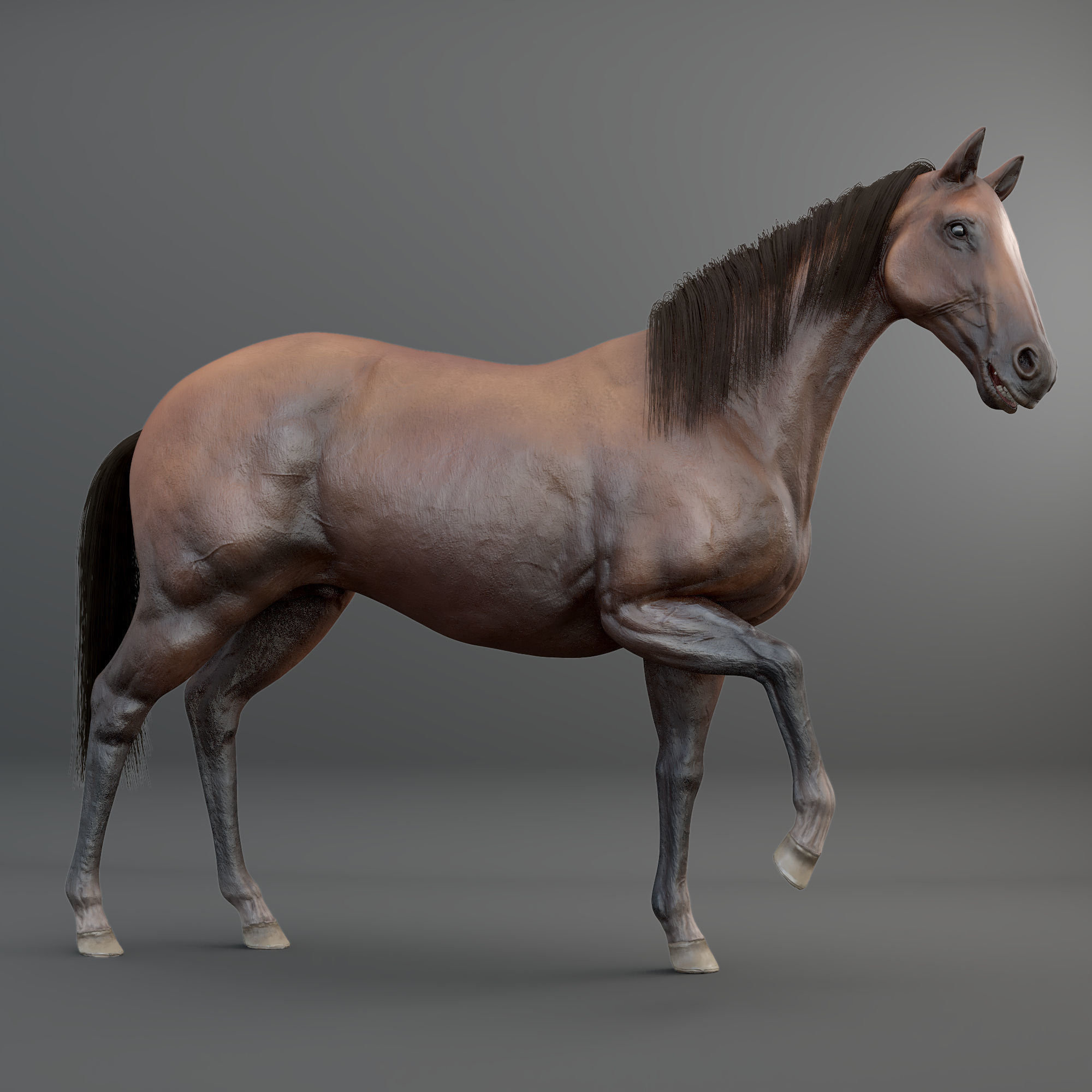 3D Horse RIGGED FUR Low-poly 3D model_1