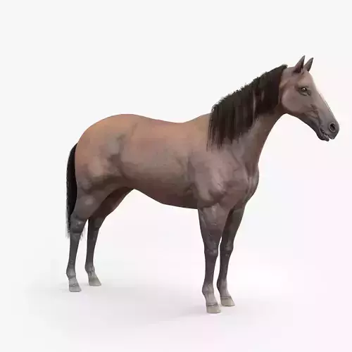 3D Horse RIGGED  FUR Low-poly 3D model