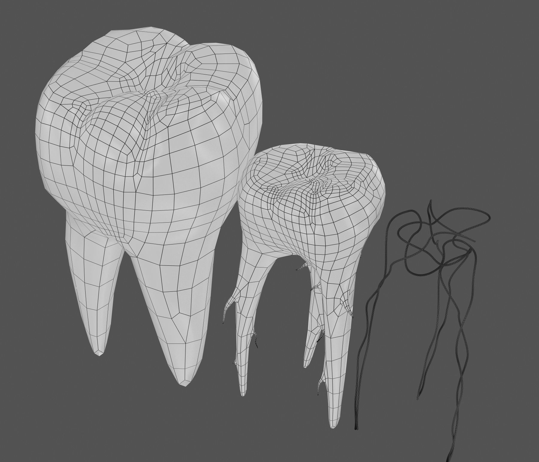 Transparent tooth 3d model of endodontics inner structure 3D model_8