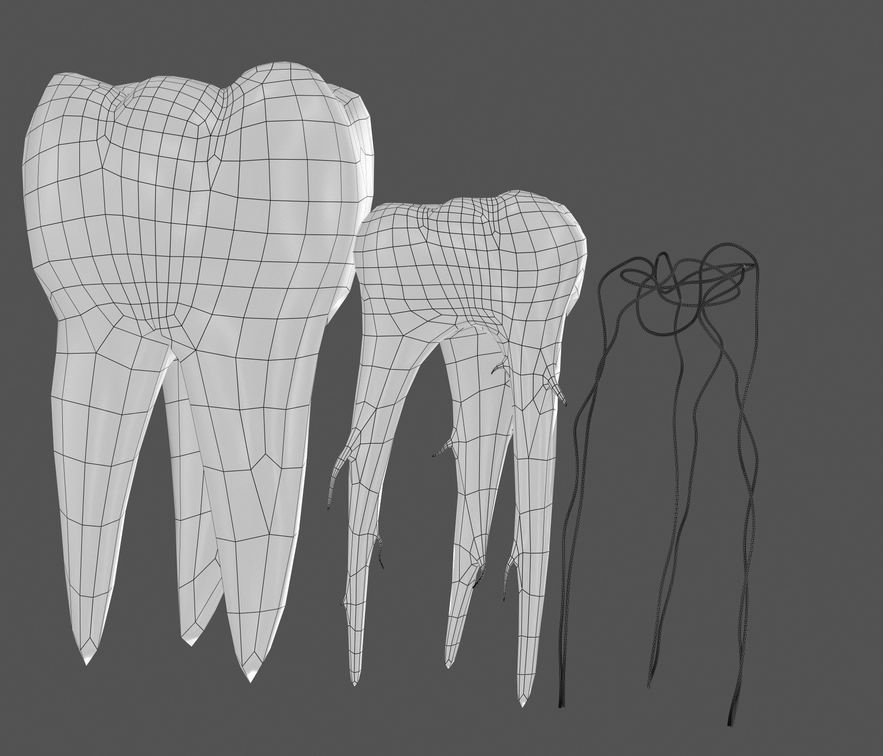 Transparent tooth 3d model of endodontics inner structure 3D model_7