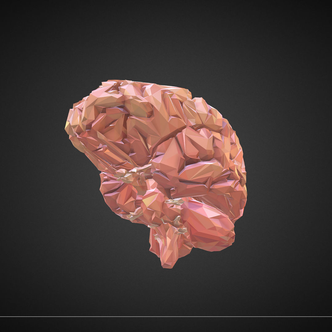 Brain Real Low Polygon Art Medical Low-poly 3D model_5