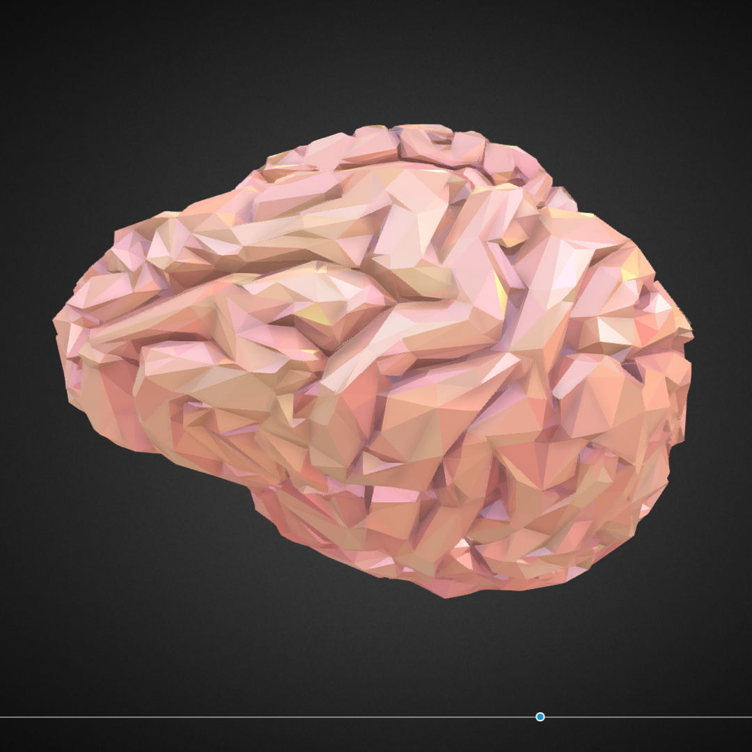Brain Real Low Polygon Art Medical Low-poly 3D model_15