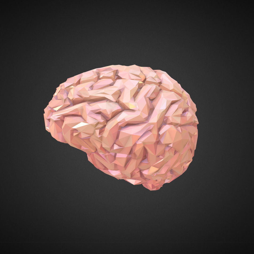 Brain Real Low Polygon Art Medical Low-poly 3D model_1