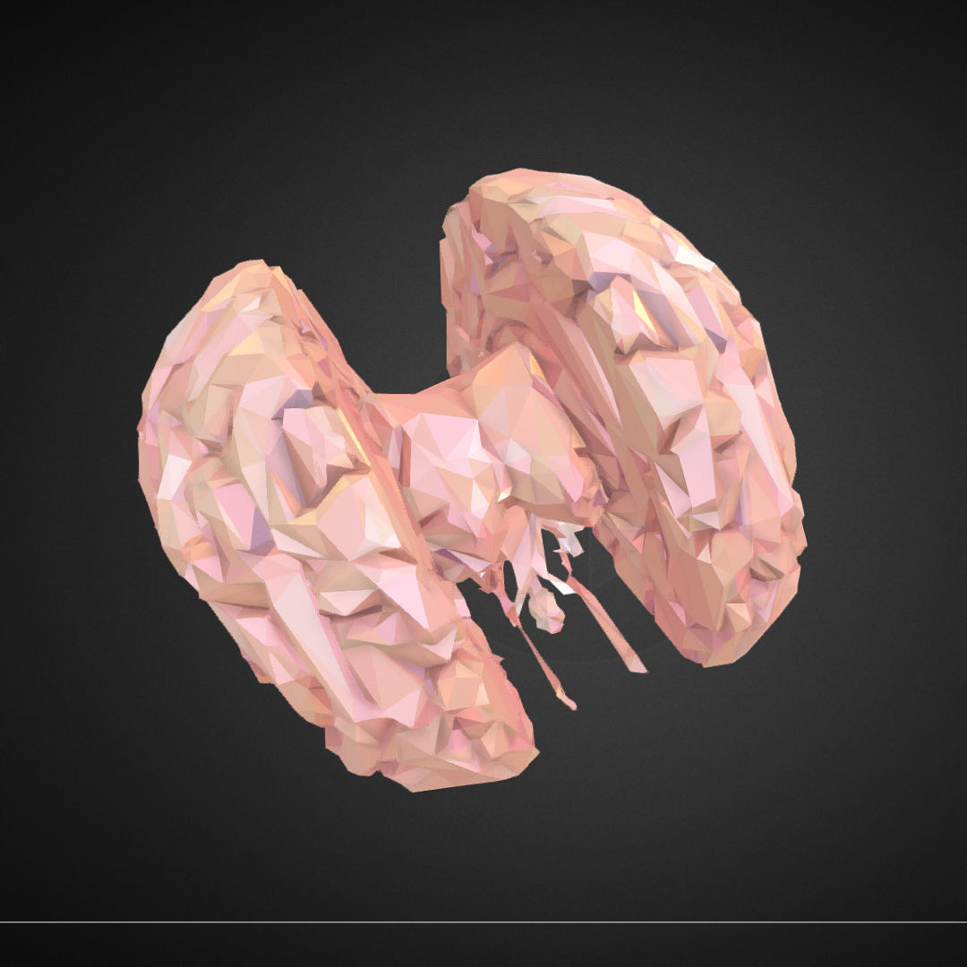 Brain Real Low Polygon Art Medical Low-poly 3D model_10