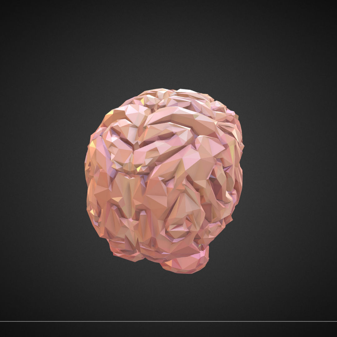 Brain Real Low Polygon Art Medical Low-poly 3D model_4