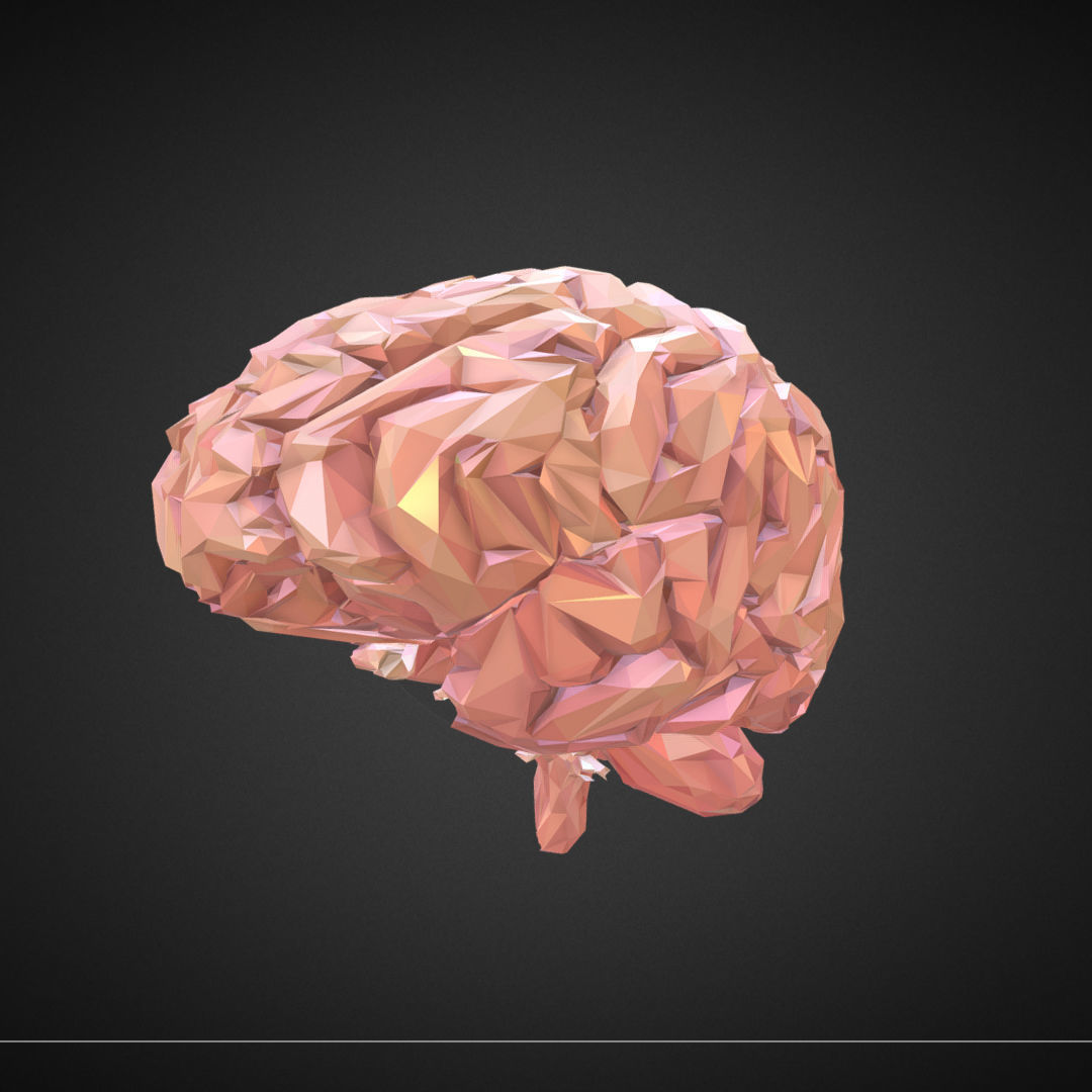 Brain Real Low Polygon Art Medical Low-poly 3D model_6