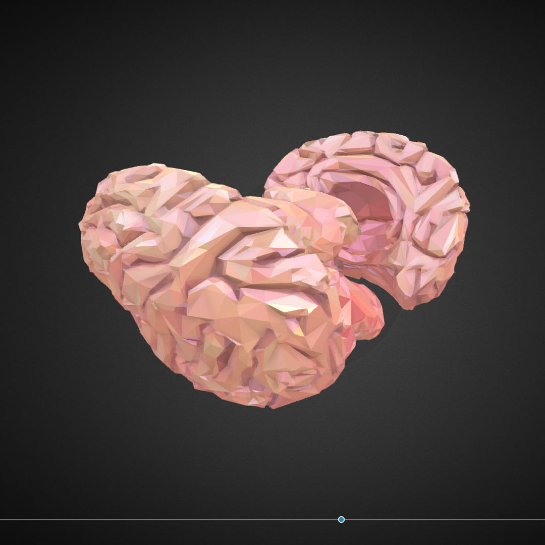 Brain Real Low Polygon Art Medical Low-poly 3D model_14