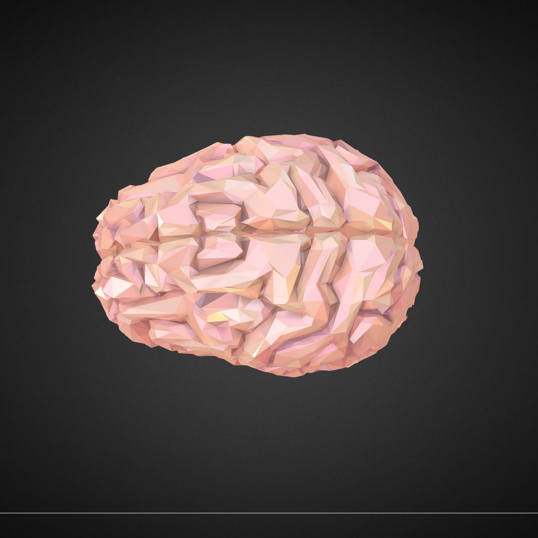 Brain Real Low Polygon Art Medical Low-poly 3D model_2