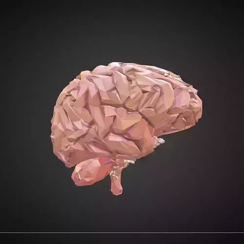 Low Polygon Art Medical Brain Real Low-poly 3D model