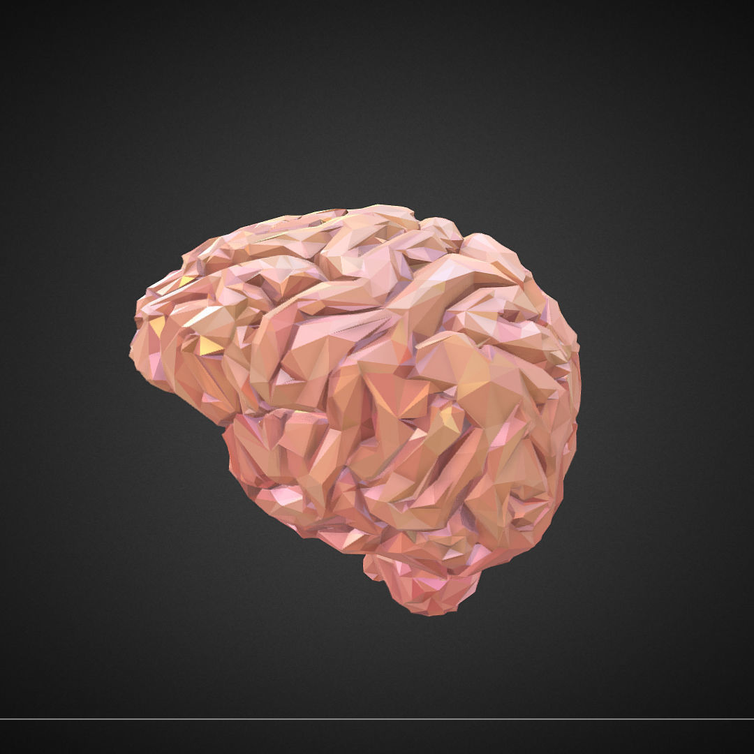 Brain Real Low Polygon Art Medical Low-poly 3D model_3