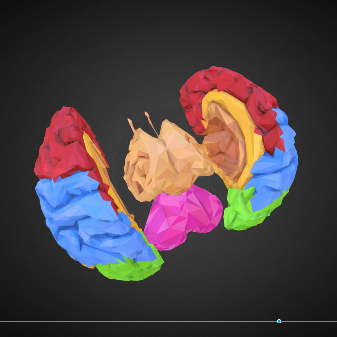 Brain Color Low Polygon Art Medical Low-poly 3D model_7