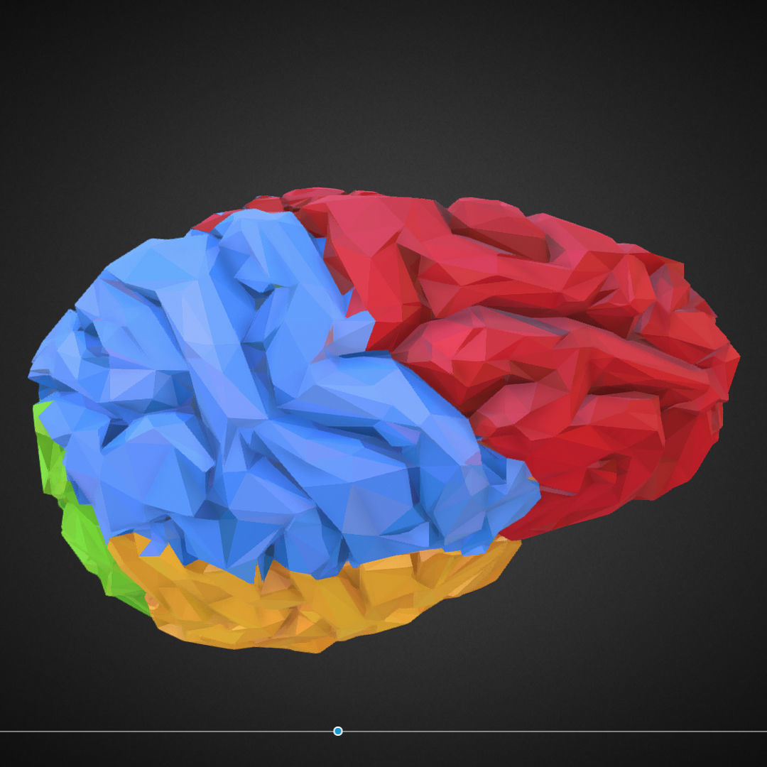 Brain Color Low Polygon Art Medical Low-poly 3D model_5