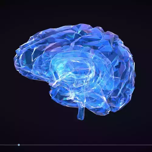 Low Polygon Art Medical Brain Roentgen Low-poly 3D model