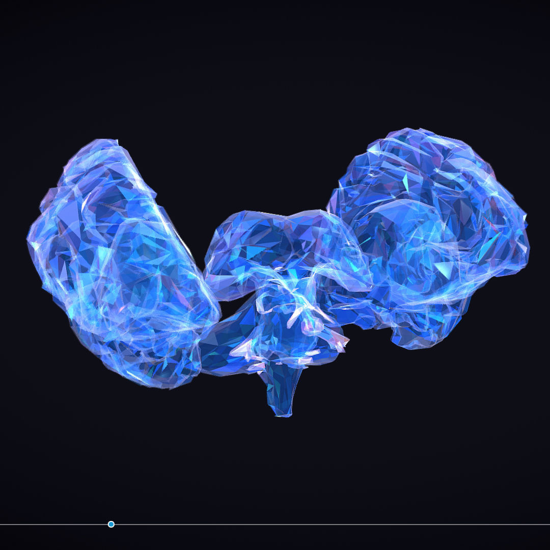 Brain Roentgen Low Polygon Art Medical Low-poly 3D model_9