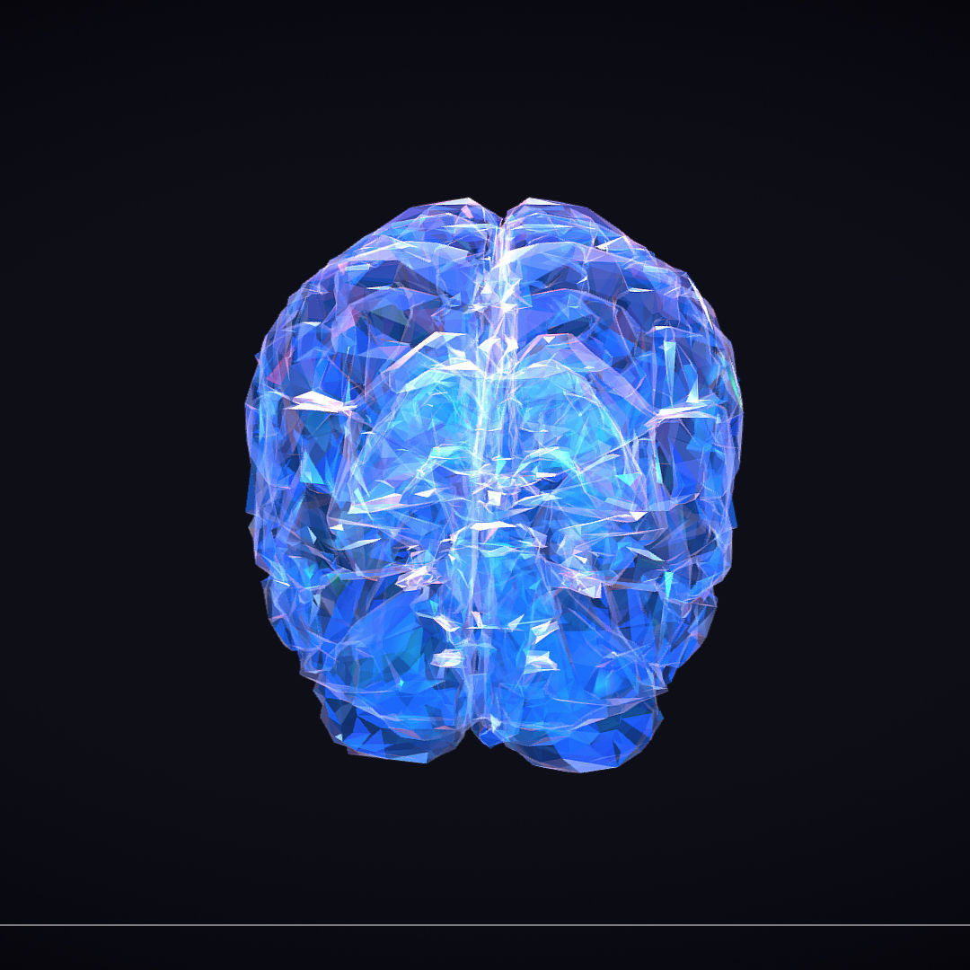 Brain Roentgen Low Polygon Art Medical Low-poly 3D model_24