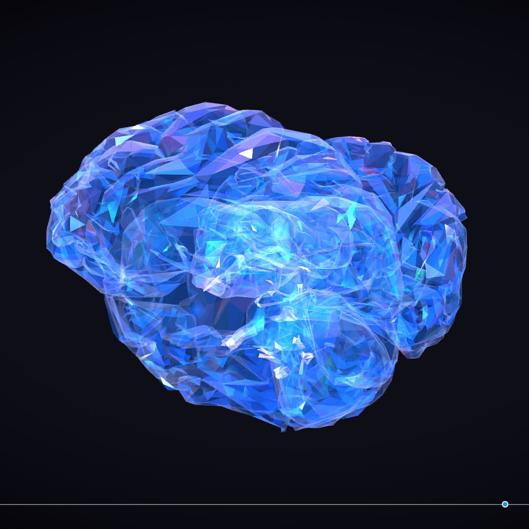 Brain Roentgen Low Polygon Art Medical Low-poly 3D model_12