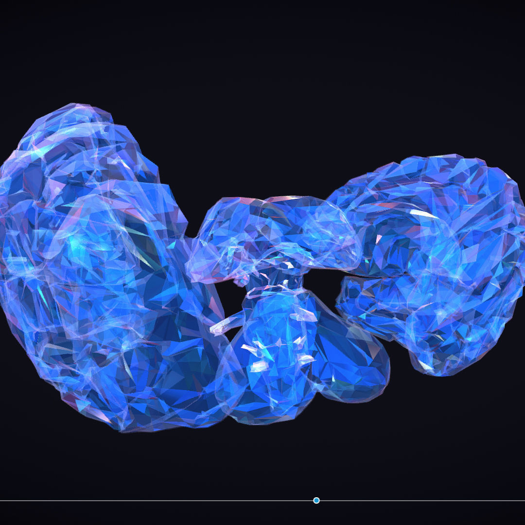 Brain Roentgen Low Polygon Art Medical Low-poly 3D model_26