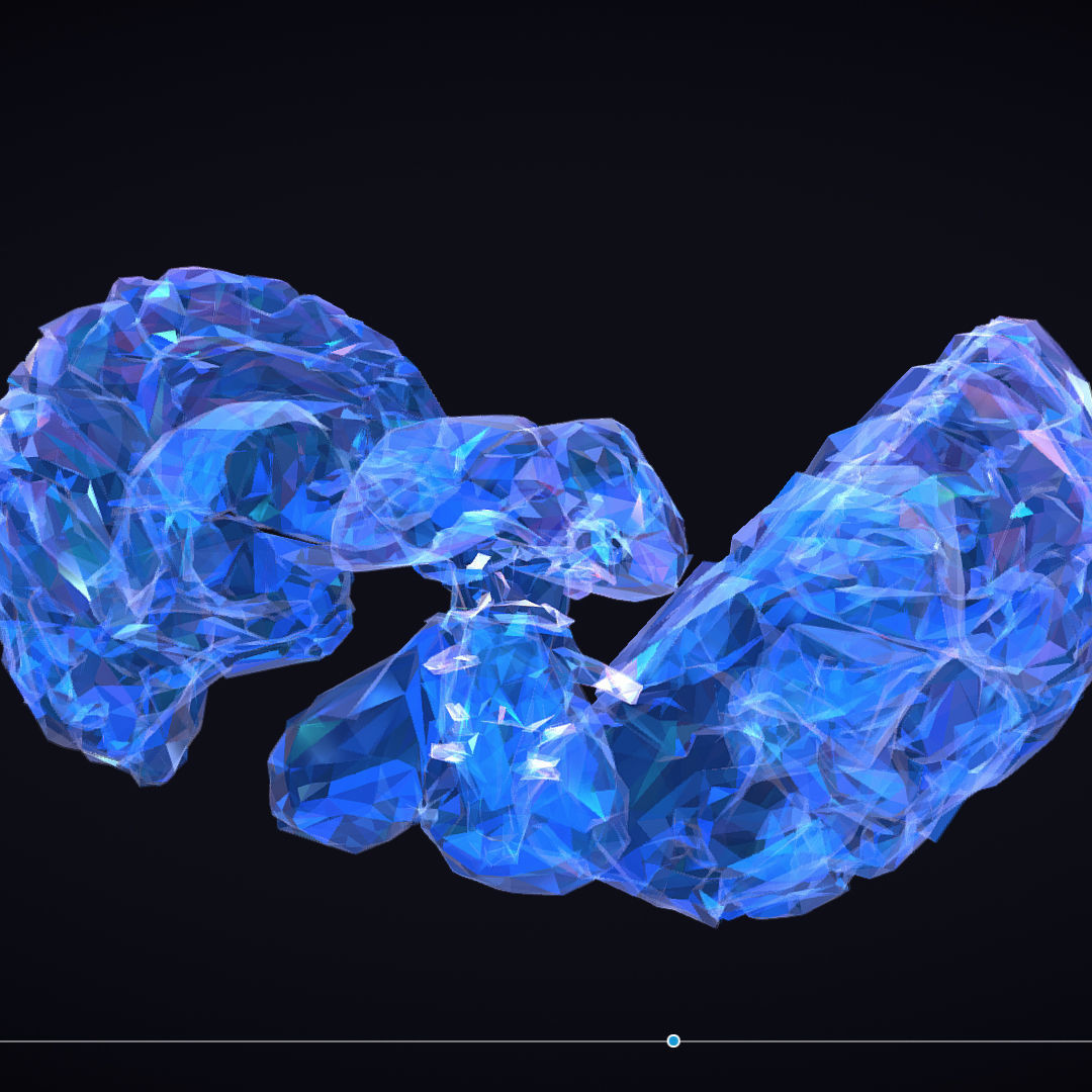Brain Roentgen Low Polygon Art Medical Low-poly 3D model_10