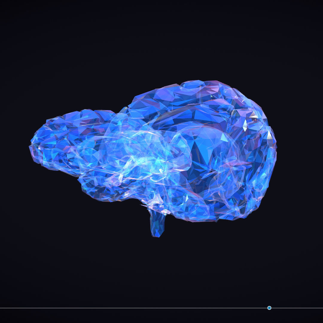 Brain Roentgen Low Polygon Art Medical Low-poly 3D model_27