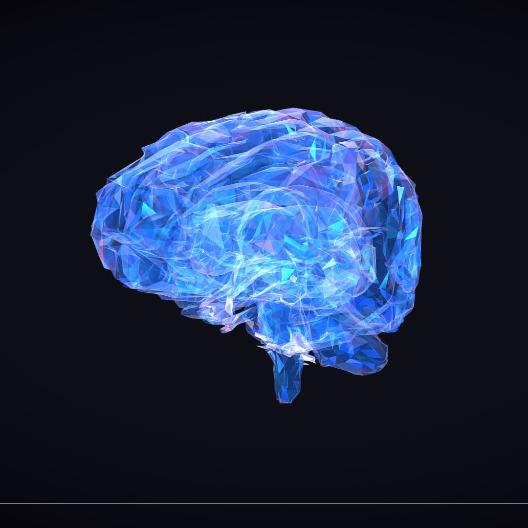 Brain Roentgen Low Polygon Art Medical Low-poly 3D model_19