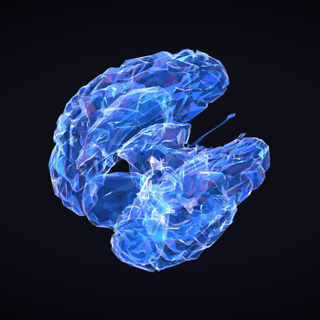 Brain Roentgen Low Polygon Art Medical Low-poly 3D model_28