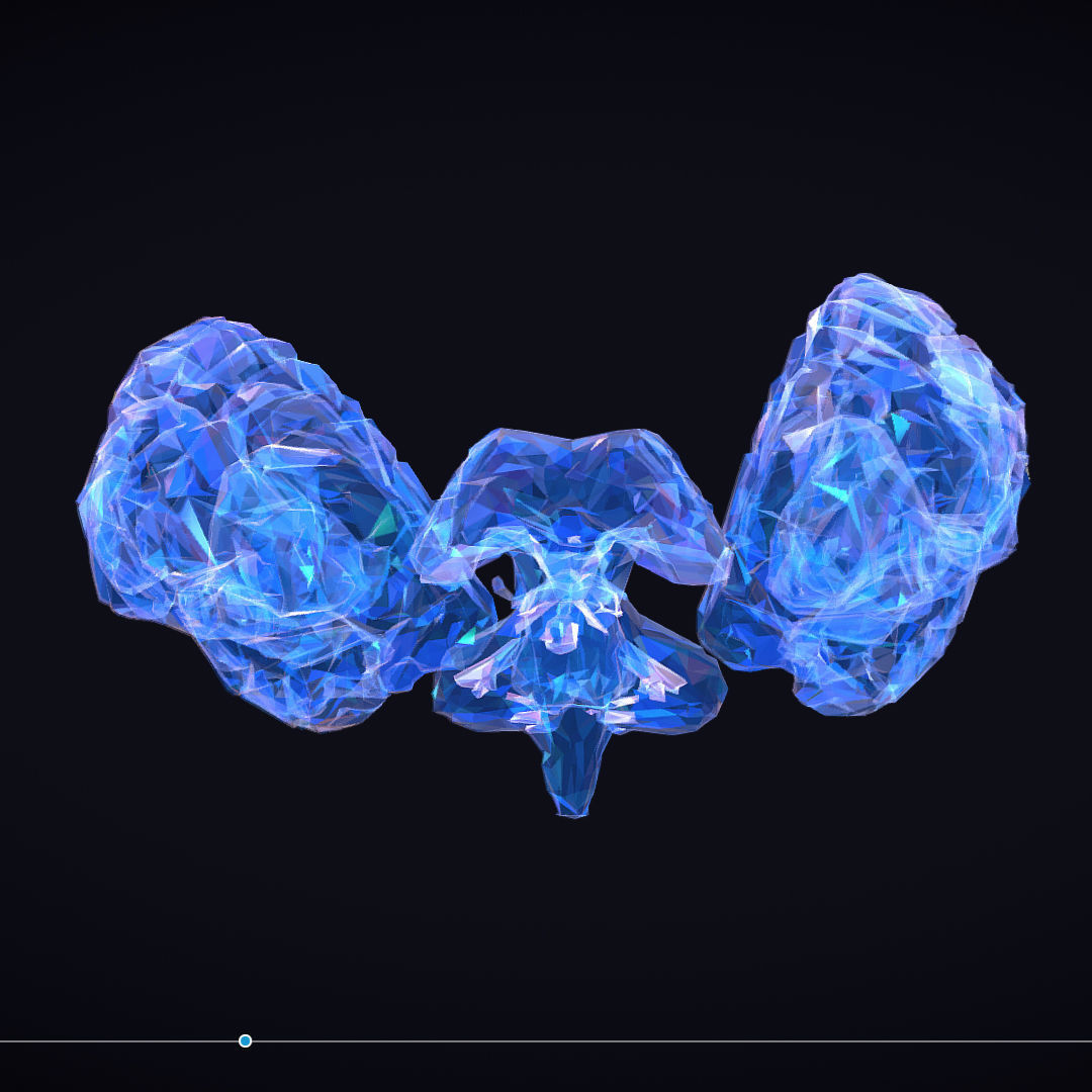 Brain Roentgen Low Polygon Art Medical Low-poly 3D model_25