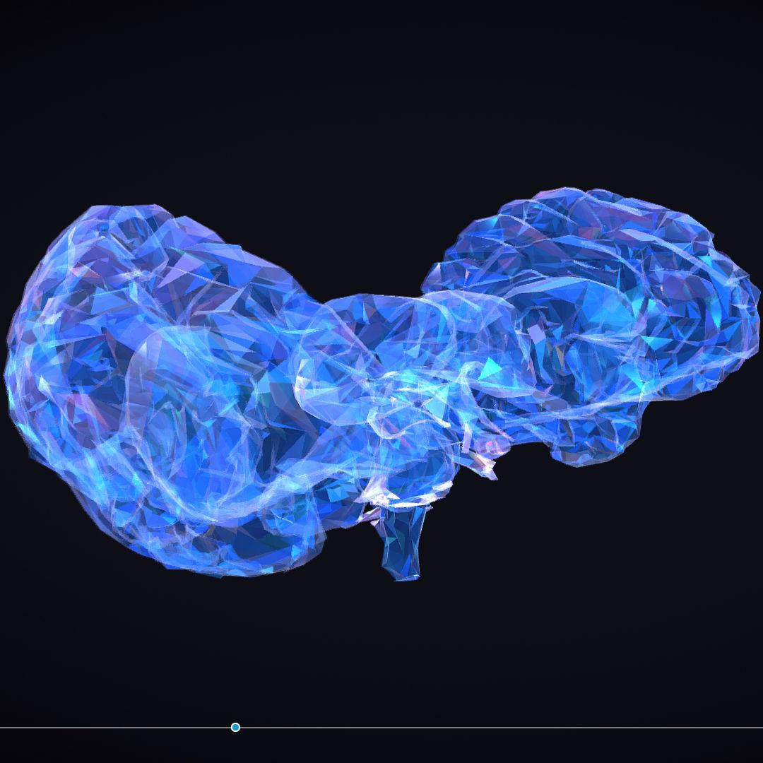 Brain Roentgen Low Polygon Art Medical Low-poly 3D model_5