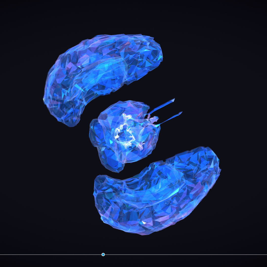 Brain Roentgen Low Polygon Art Medical Low-poly 3D model_29