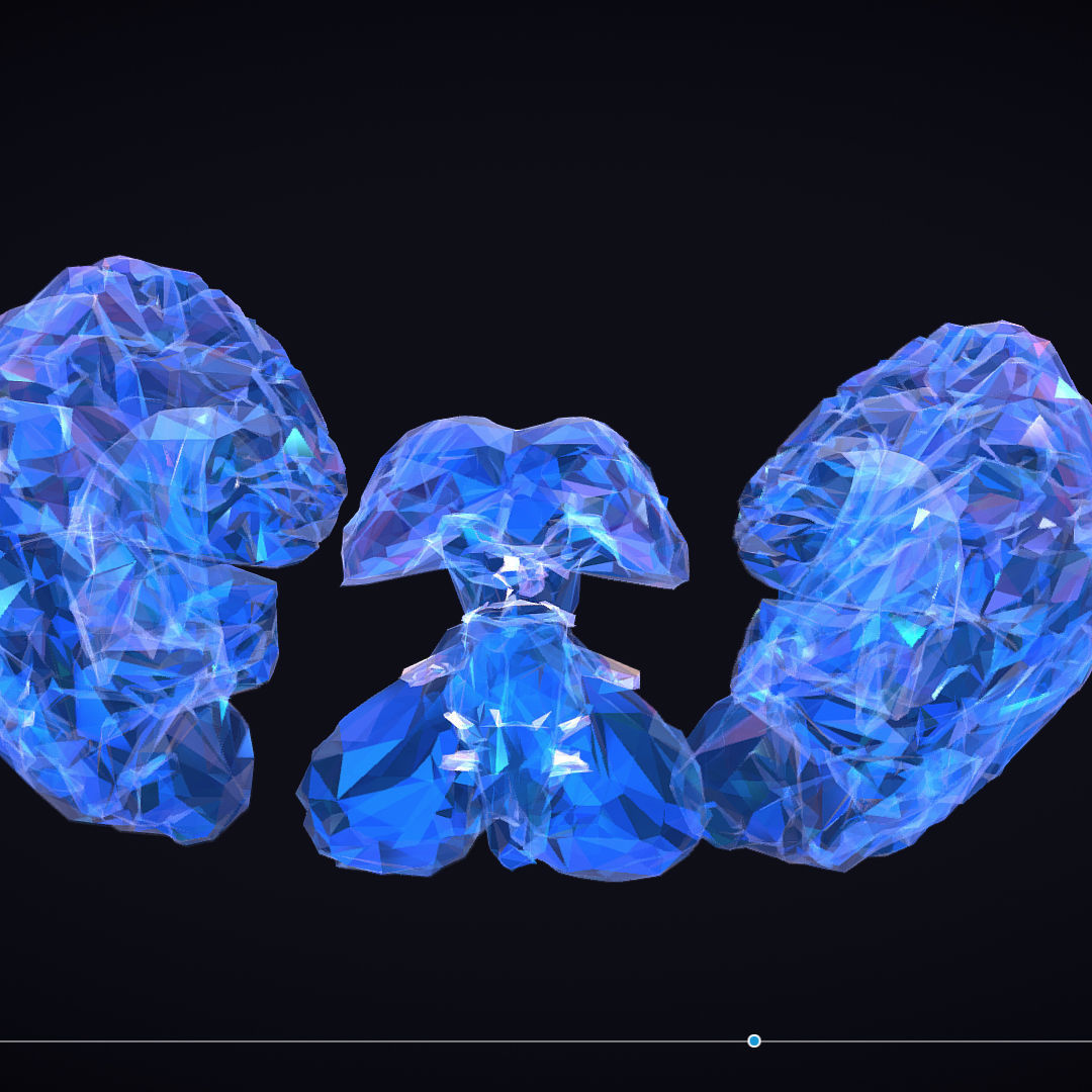 Brain Roentgen Low Polygon Art Medical Low-poly 3D model_8