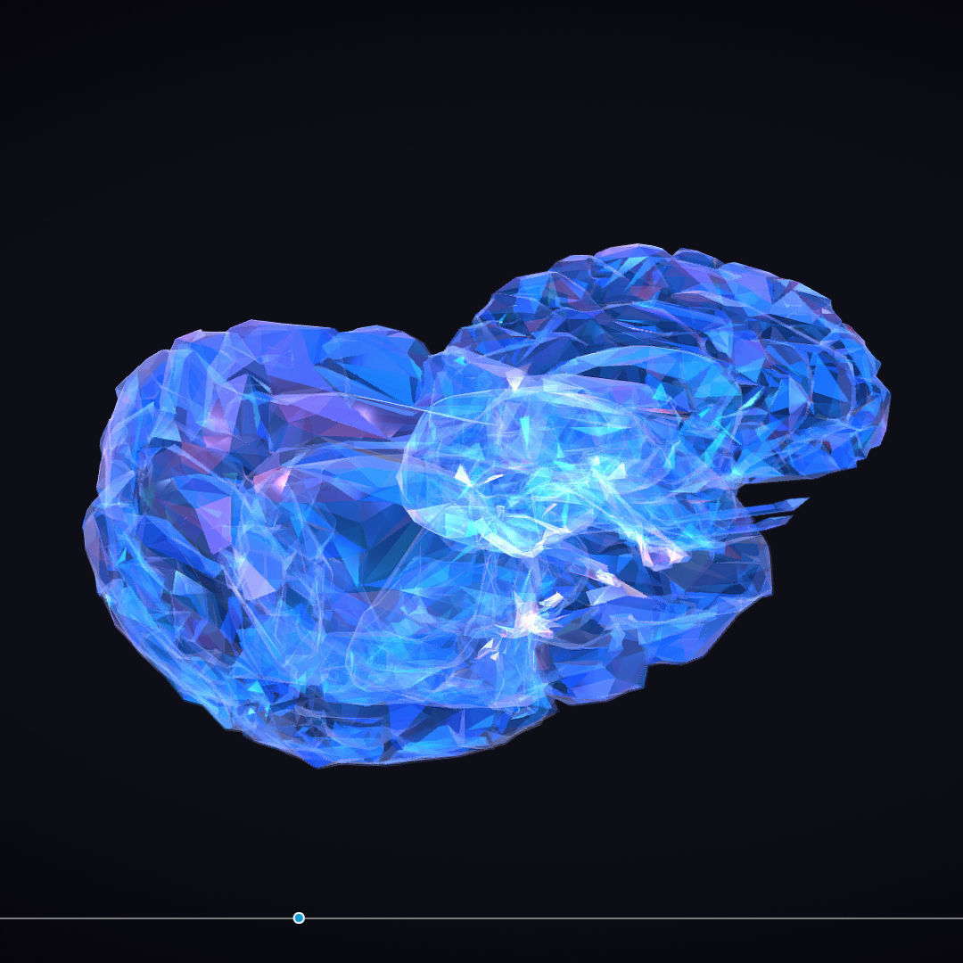 Brain Roentgen Low Polygon Art Medical Low-poly 3D model_22