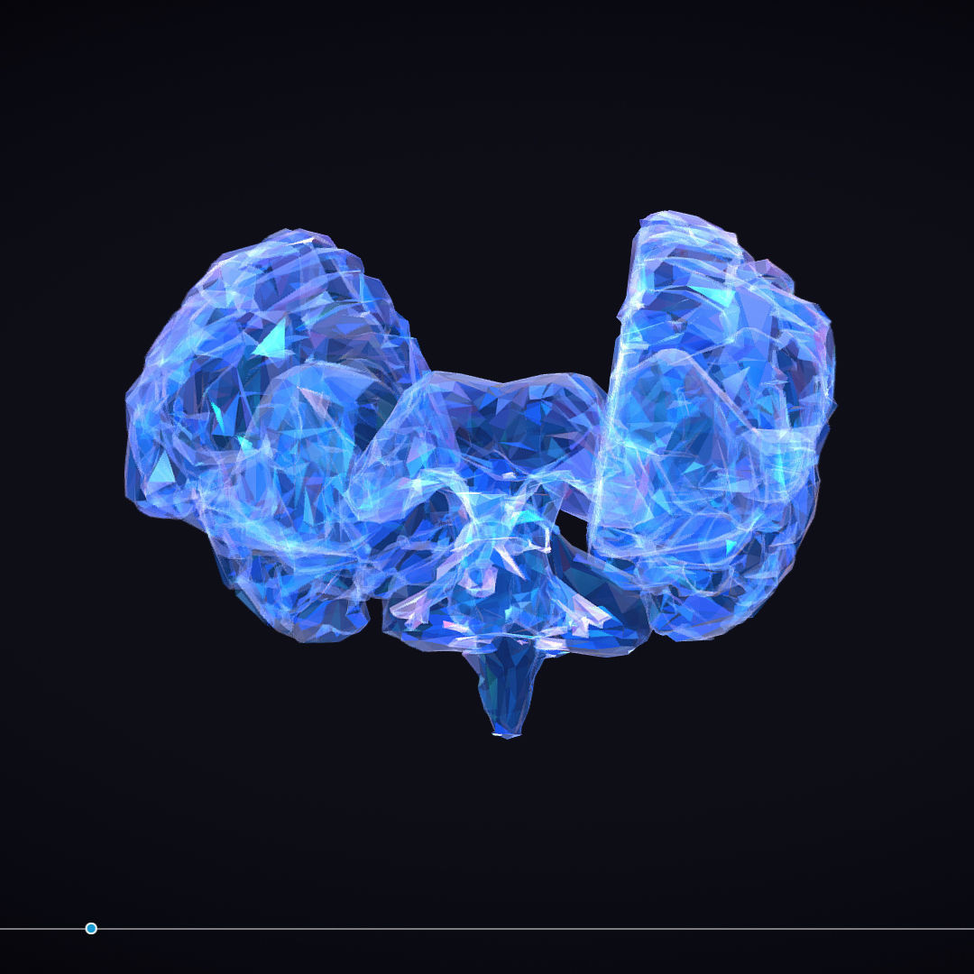 Brain Roentgen Low Polygon Art Medical Low-poly 3D model_1