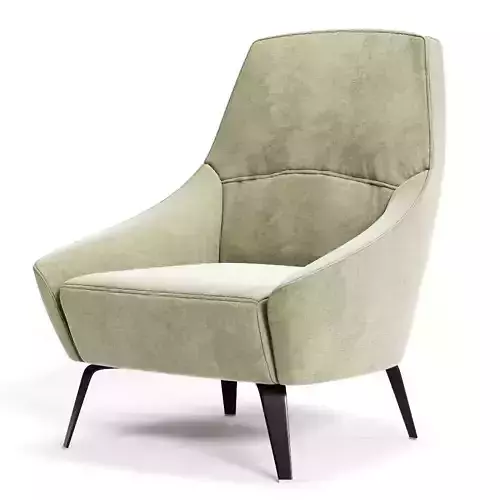 Colombini Casa DELTA Armchair Low-poly 3D model