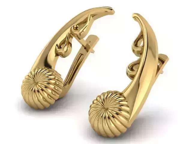 Earrings T00910 