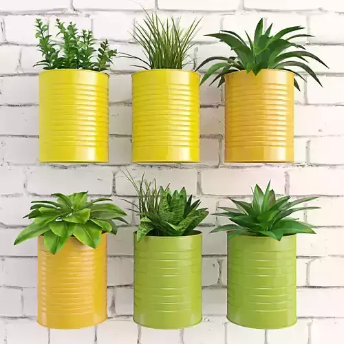 Plants in cans