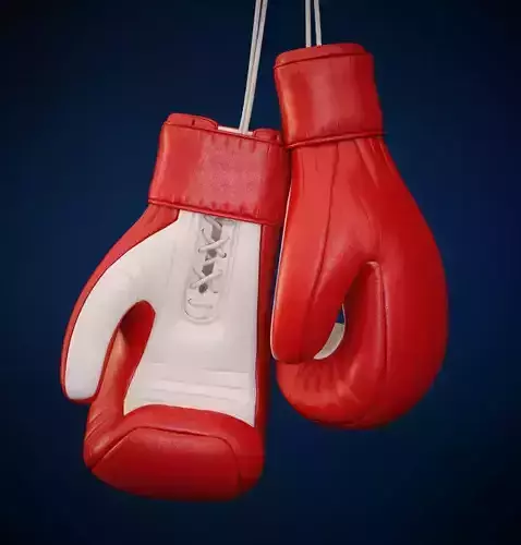 Boxing Gloves 3D model