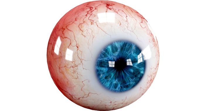Human eyes  Low-poly 3D model