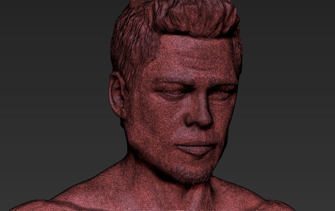 Tyler Durden Brad Pitt Fight Club for full color 3D printing 3D print model_62