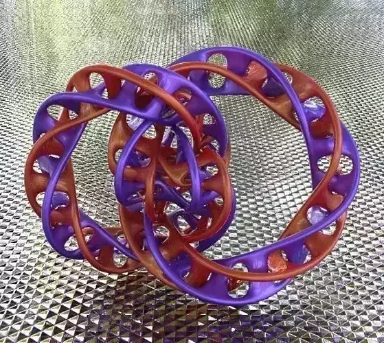 Mobius Torus Knot Type-2